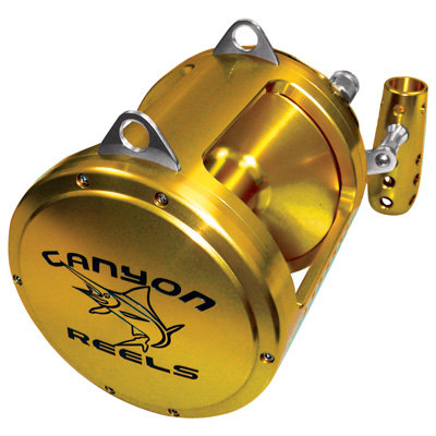 Fishing Conventional Reel Saltwater, for Catfish, Musky, Durable  Stainless-Steel & Brass Gears, Large Line Capacity, Powerful Carbon Disc  Drag (Color
